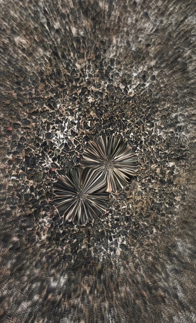蚀刻石头花