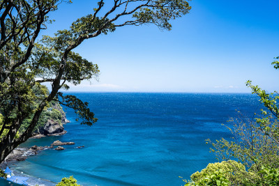 热海市的海景和鲜花