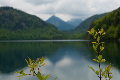 高山森林