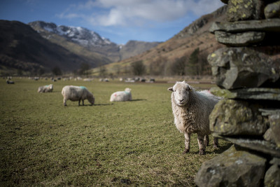伟大的Langdale