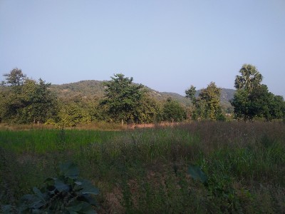 森林和山