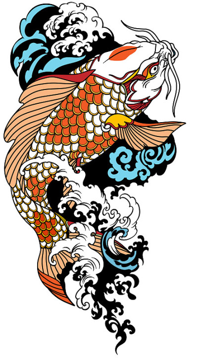游向上游的日本锦鲤