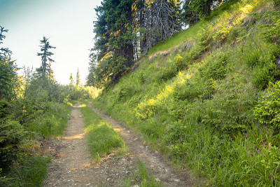 山路