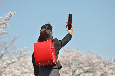 日本小学生(樱花，后景)