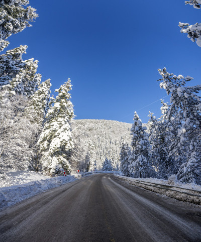 积雪的道路和树木。主人通过艾哈迈德