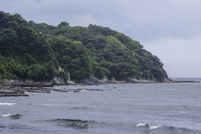 岛