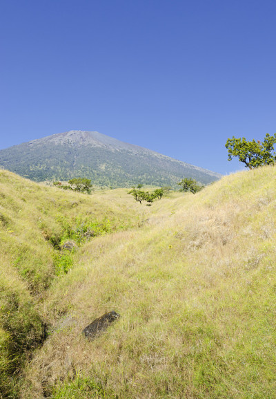 林贾尼山