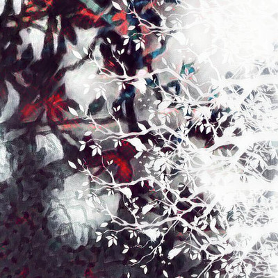 黑暗的童话