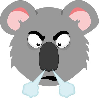 矢量表情插图卡通的考拉的头与愤怒的表情出来的鼻子烟