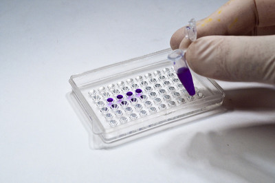 在生物研究实验室里。