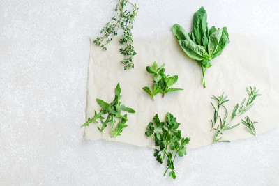 白色背景上的新鲜烹饪香草:迷迭香，百里香，薄荷，芝麻菜，罗勒和欧芹小束