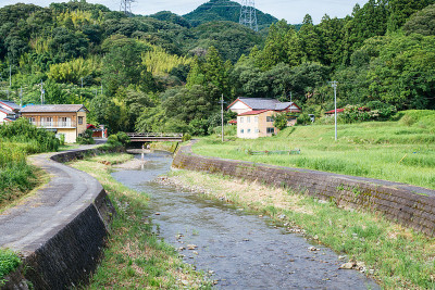 乡村景观