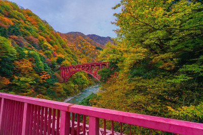 秋谷的风景
