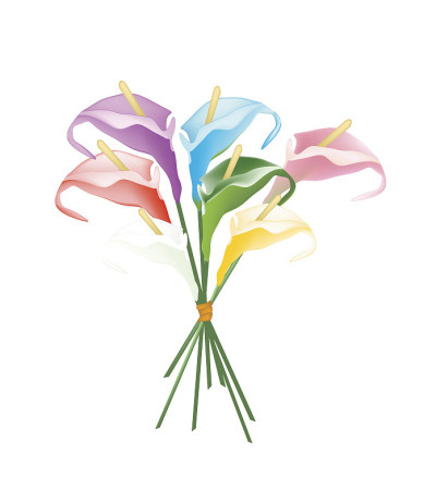 红掌花束或火烈鸟花束白色