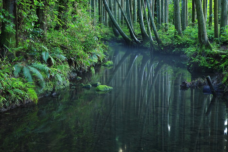 山形县夏河