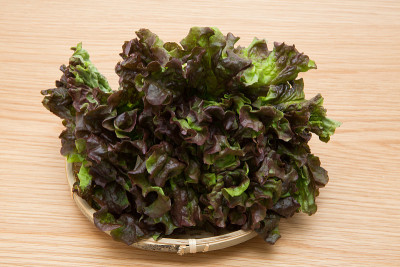 油麦菜