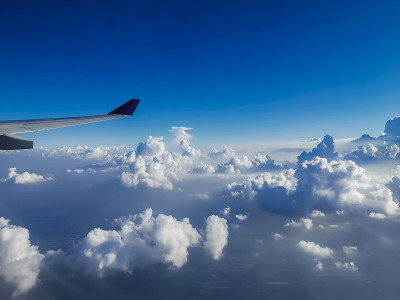 在天空中飞翔的自然和旅行的概念