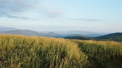 山是活的