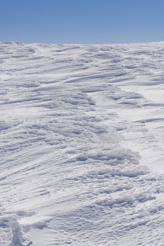 枣山的积雪表面