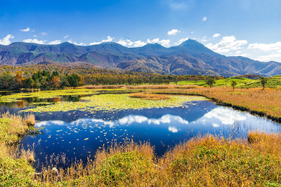 知冬半岛在秋色中燃烧