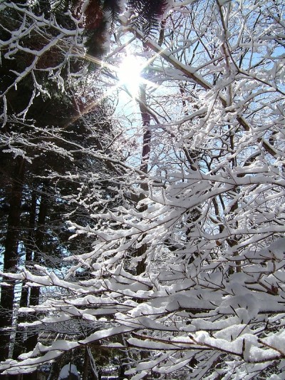 日本轻井泽美丽的雪景