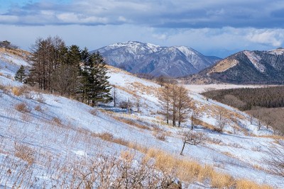日本长野县麒麟岭的冬季景观