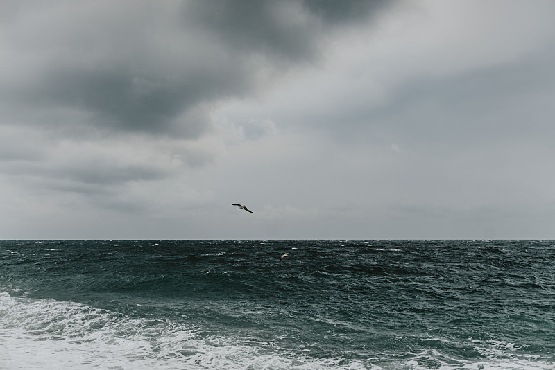 暴风雨的大海，多云的天空，海浪，岩石海岸海鸥