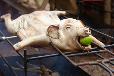 烧烤用的全猪肉