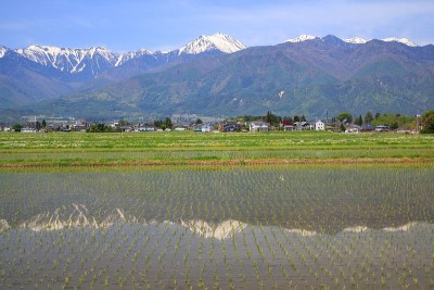 日本的阿尔卑斯山和稻田