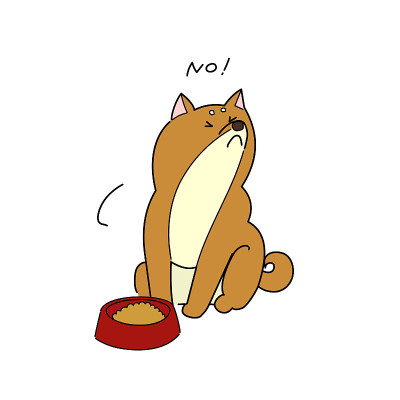 日本柴犬拒绝米饭