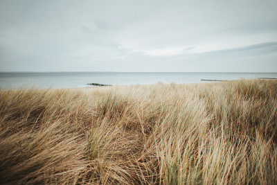 海滩燕麦在Timmendorfer Strand