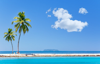 海洋热带岛屿上的棕榈树。