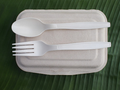一次性生物塑料勺叉饭盒