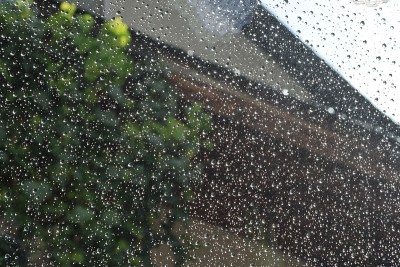 雨滴落在窗户上