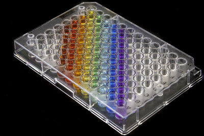 生物实验室96孔板的特写