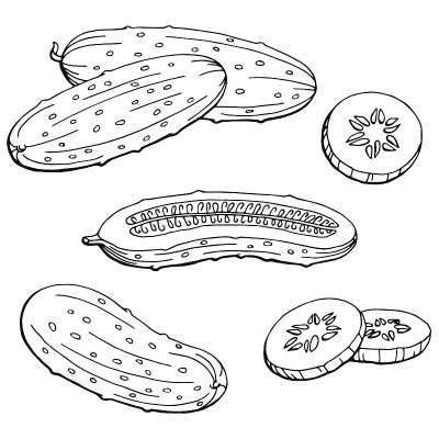 黄瓜图形黑白孤立素描插图矢量