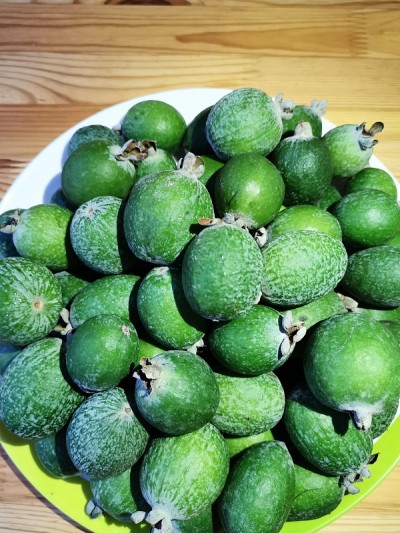 新鲜的feijoa躺在一个木背景上