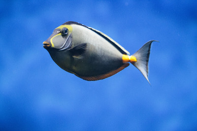 水族馆