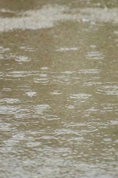 大雨水滴