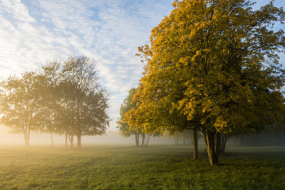 Morgendunst