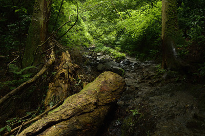 Mt.Takao、Hachiouji、东京(2020)