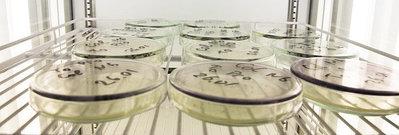 微生物学科学