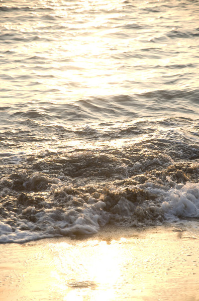 海