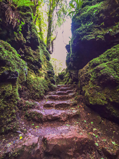 神奇的Puzzlewood