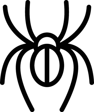 蜘蛛