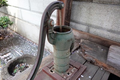 老日本井和樱花花瓣