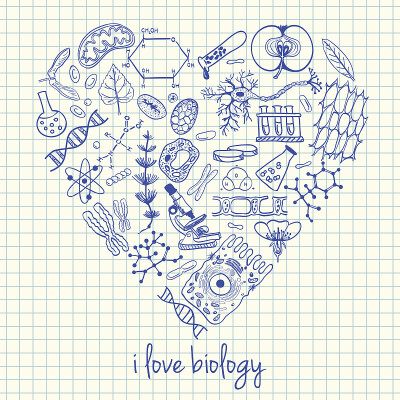 生物画心形
