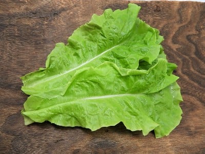 韩国lettuce5