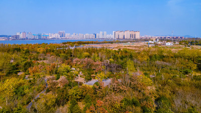 青岛城市公园景观航拍