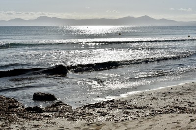 Alcúdia湾